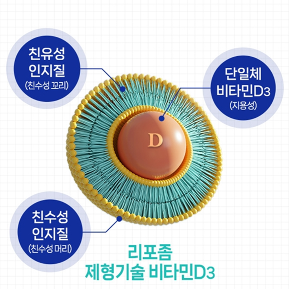 엔젯오리진 리포좀 비타민D3 3000IU 60캡슐 2개월 인지질 코팅 프리미엄 비타민D 이미지 7