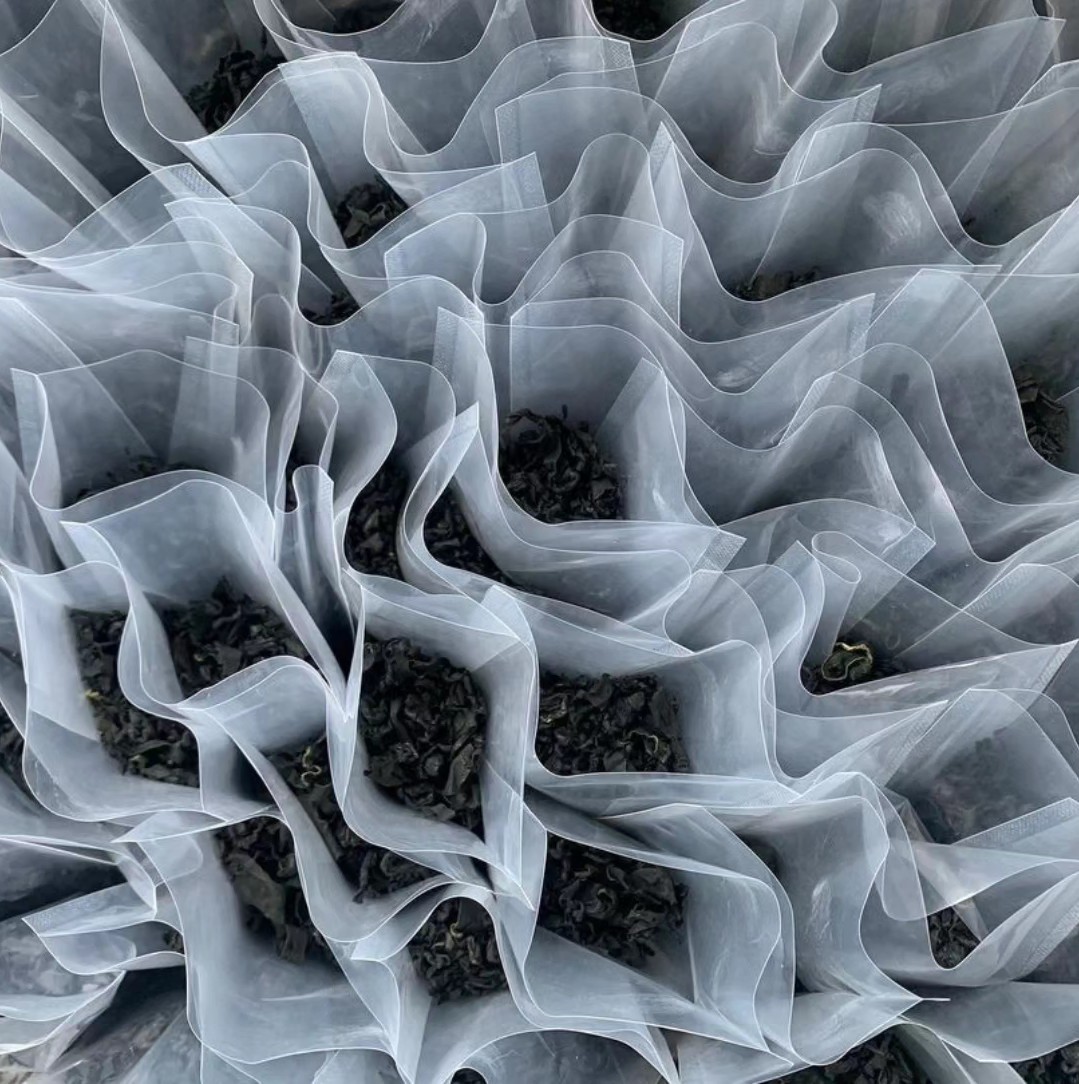 [2+1] 20g x 4봉 완도 소포장 자른미역 초사리미역 건미역 이미지 3