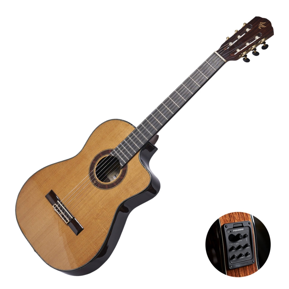 [최다구성품지급] 고퍼우드 C600TRCE/ 탄화목 탑솔리드/ 픽업장착/ 슬림바디 - 상세 이미지 2