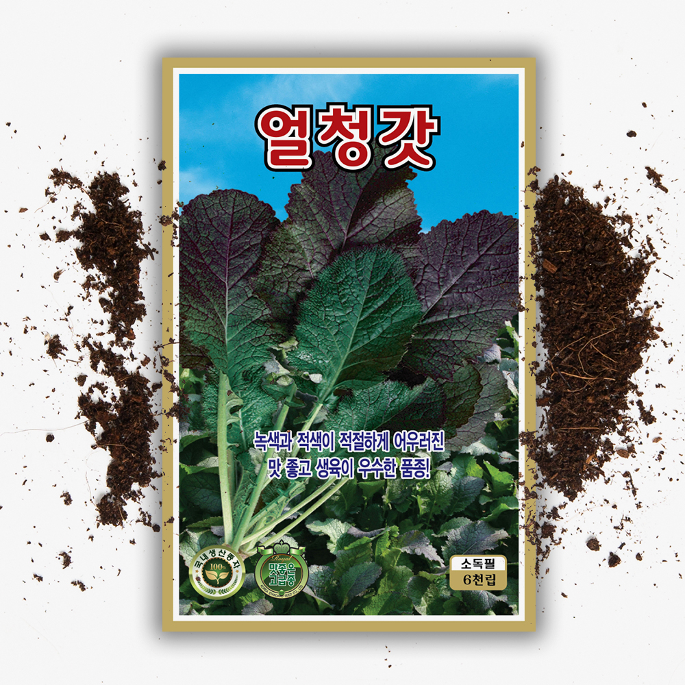 얼청갓 씨앗 종자 6000립 국내채종 갓 씨 - 상품 이미지