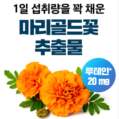 메이플트리 루테인 오메가3 30캡슐 6박스 6개월 EPA DHA 비타민 판토텐산 황반변성 - 상세 이미지 4