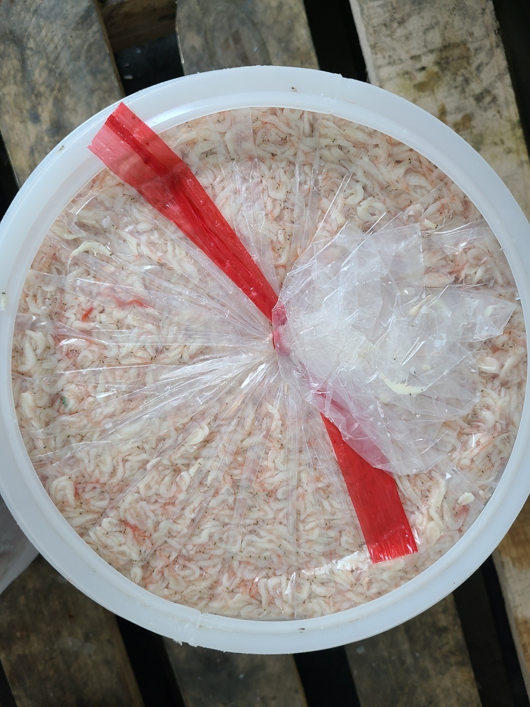 [품질보장] 업소용 베트남 새우젓 20kg S사이즈 현지1차선별 수입 대용량 식당용 김장용 - 상세 이미지 4