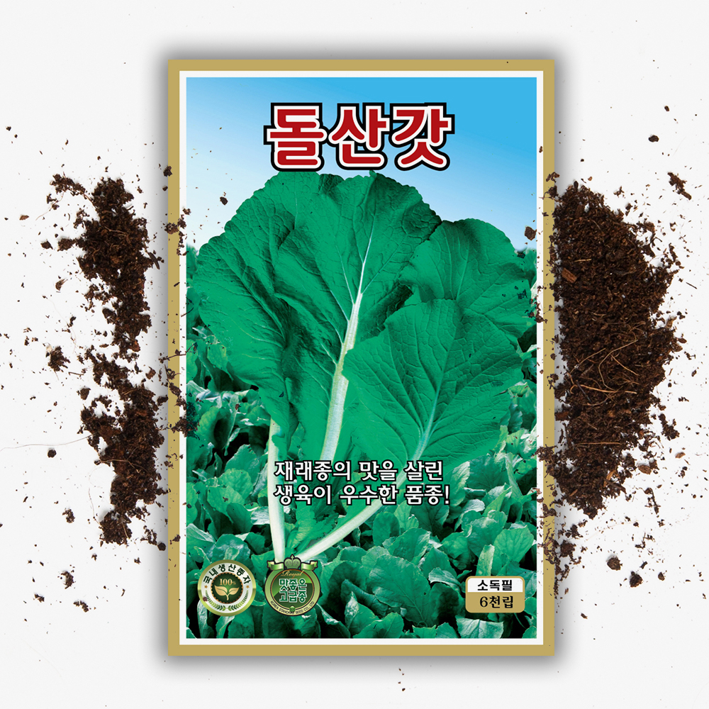 돌산갓 씨앗 종자 6000립 국내채종 갓 씨 - 상품 이미지