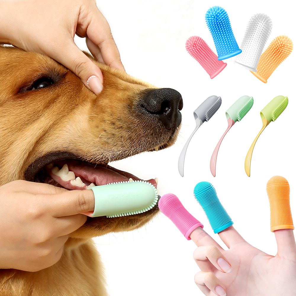 강아지 손가락칫솔 실리콘 애견 양치 칫솔 입냄새제거 4개