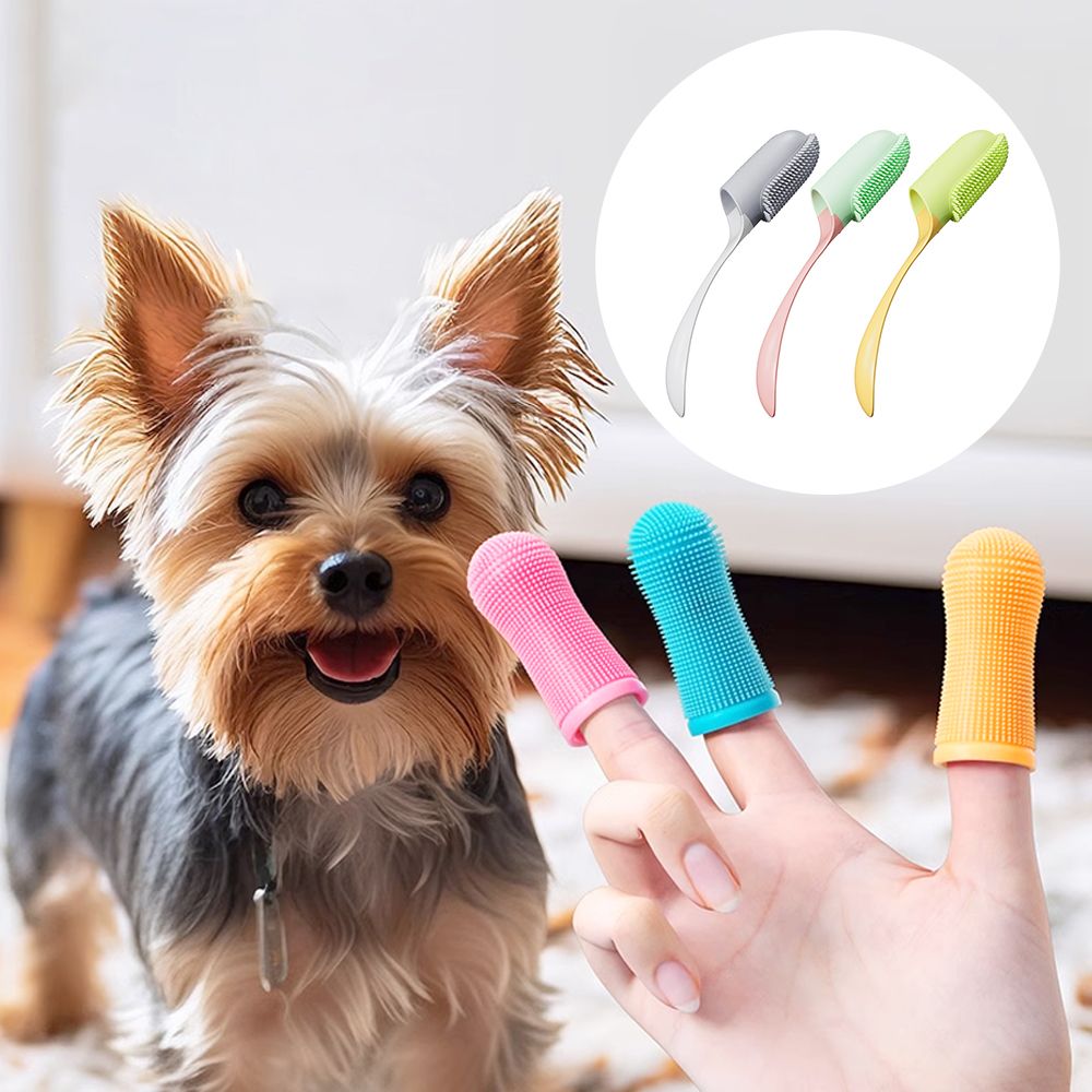 강아지 손가락칫솔 실리콘 애견 양치 칫솔 입냄새제거 4개