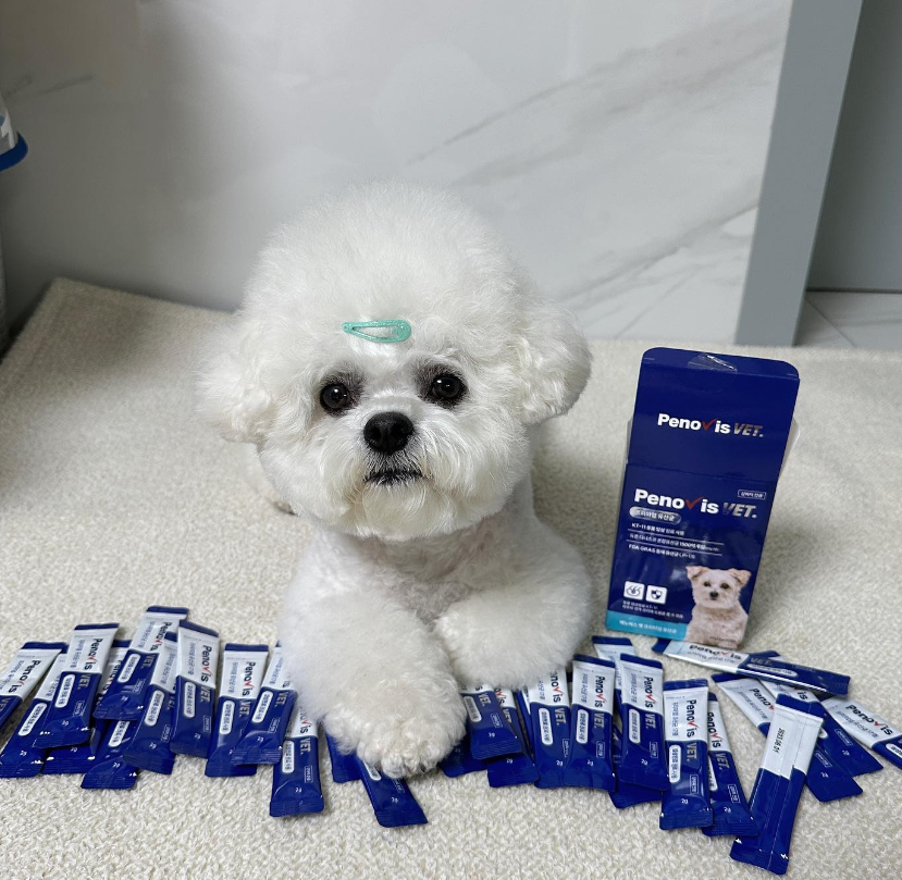 강아지유산균 페노비스 변비 설사 장건강 피부 임상원료 유산균 30포, 1개