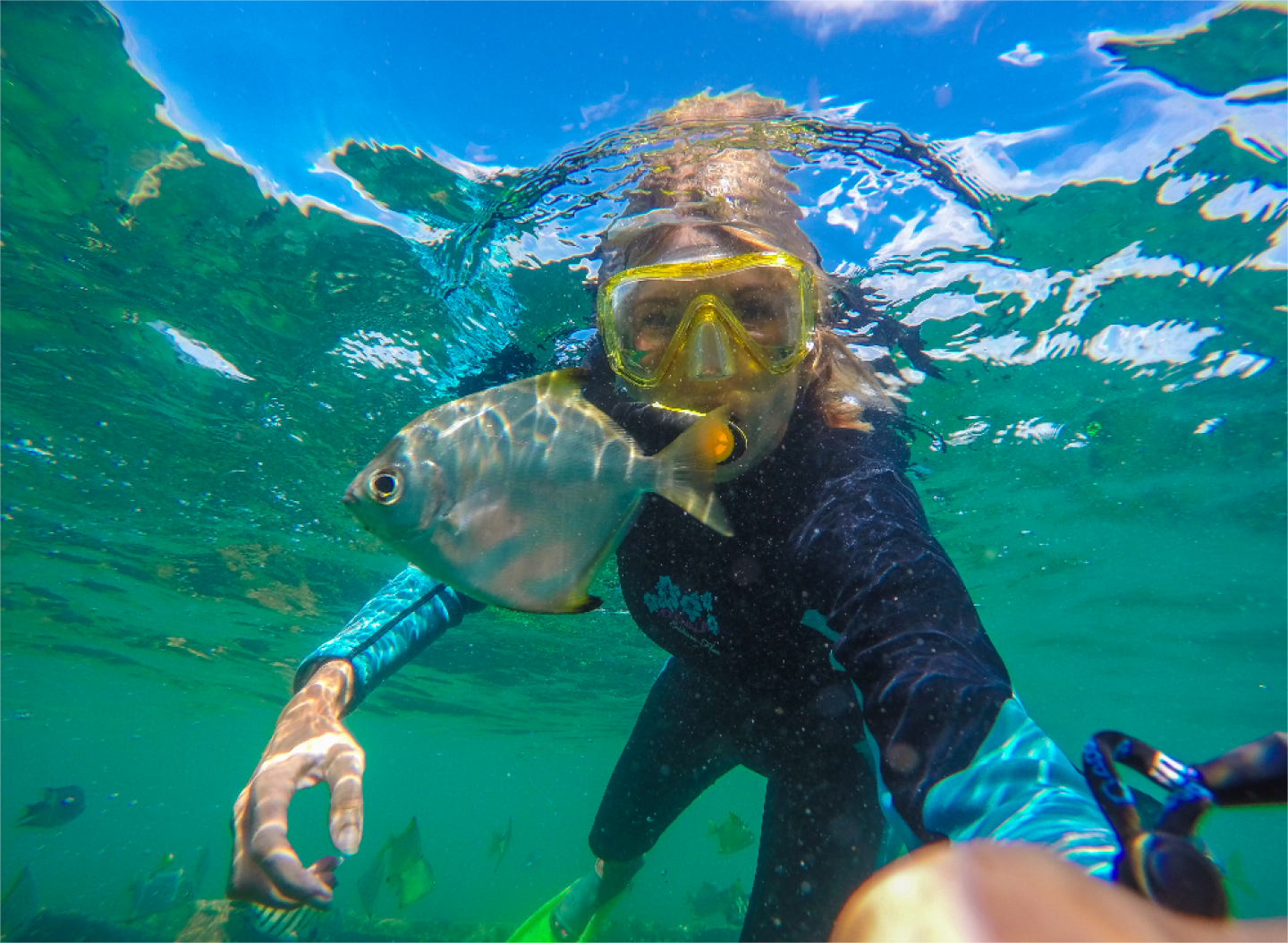 호주 브리즈번 탕갈루마 스노클링 난파선 데이 크루즈