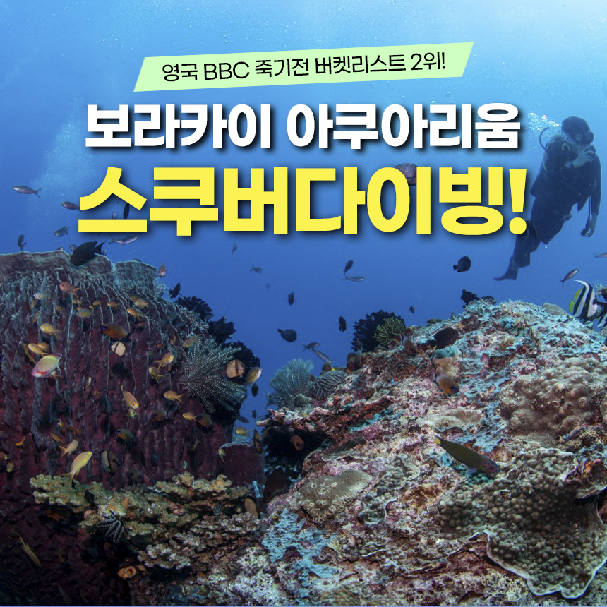 보라카이 액티비티 체험 스킨스쿠버 다이빙 수중촬영 영상 무료 제공 해양스포츠 - 상품 이미지
