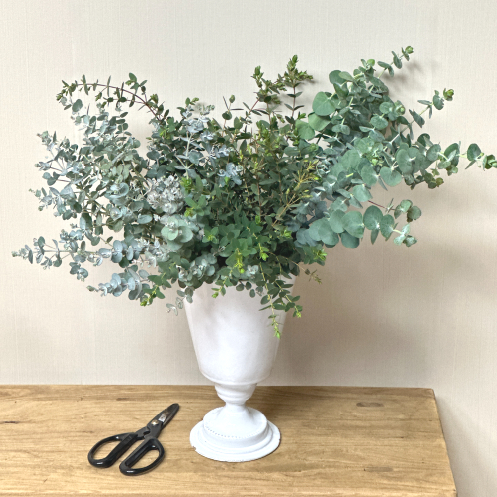 리틀캠든 유칼립투스 랜덤 생화 합리적인 온라인꽃집