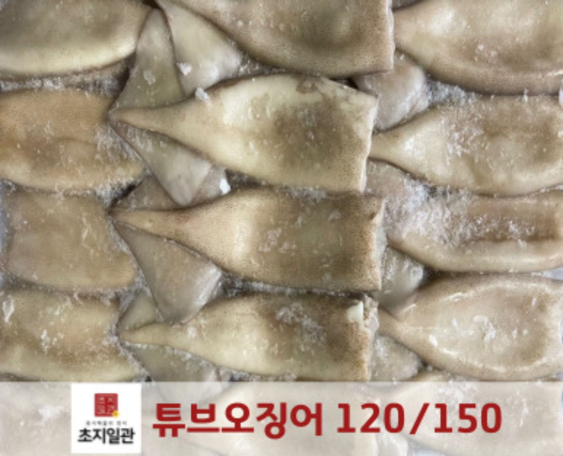 [초심푸드] 튜브오징어 10kg X 1박스 : 유한회사 초지일관