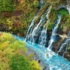 삿포로 비에이 후라노 버스투어 DSLR 사진 촬영 /[준페이 예약 식사] 솔직 후기 | 실사용자 리뷰 분석 - 상품 이미지 3