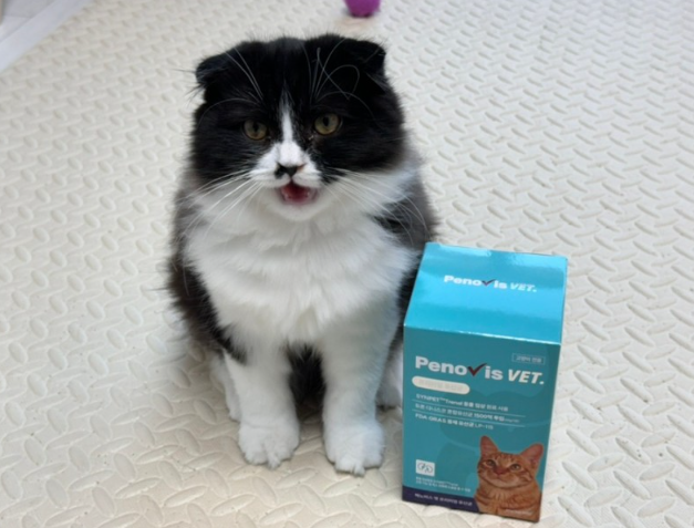 고양이유산균 페노비스 변비 설사 면역력 임상원료 신장영양제 30포, 1개