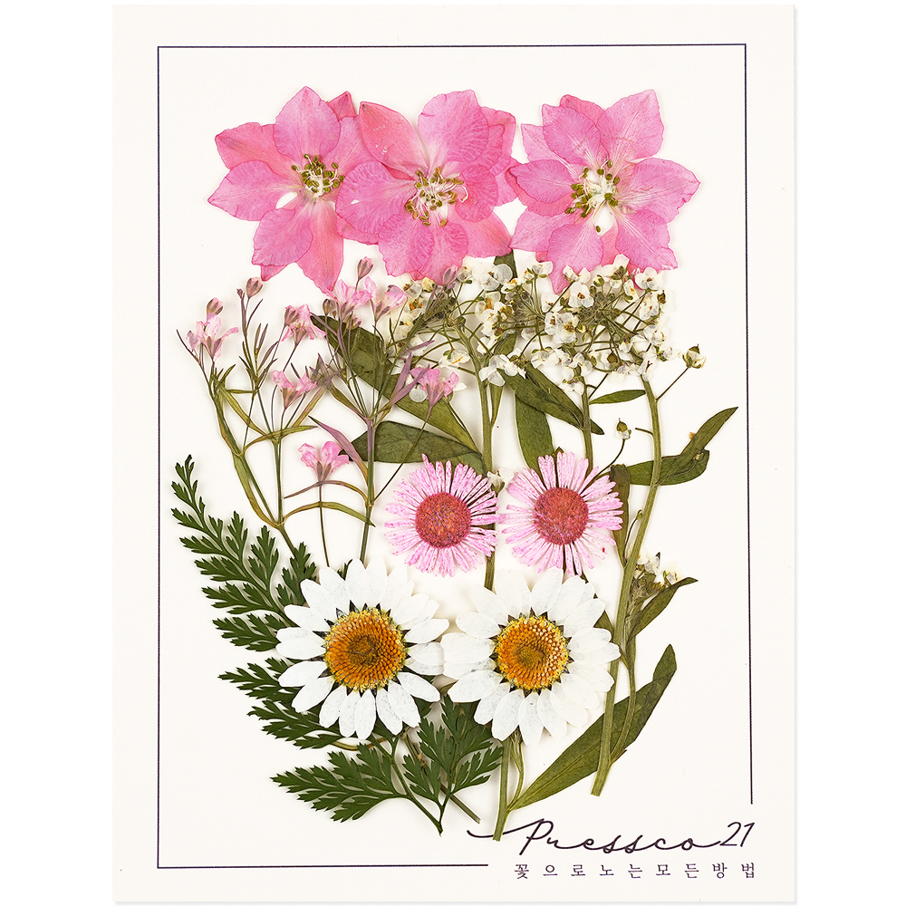 압화 압화꽃 꽃송이 프레스코21 종합팩 3000A 제품 이미지
