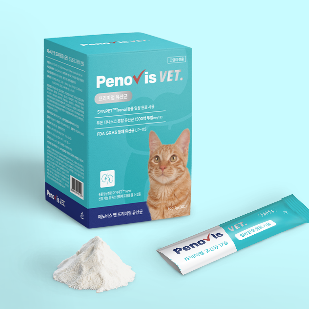 고양이유산균 페노비스 변비 설사 면역력 임상원료 신장영양제 30포, 1개