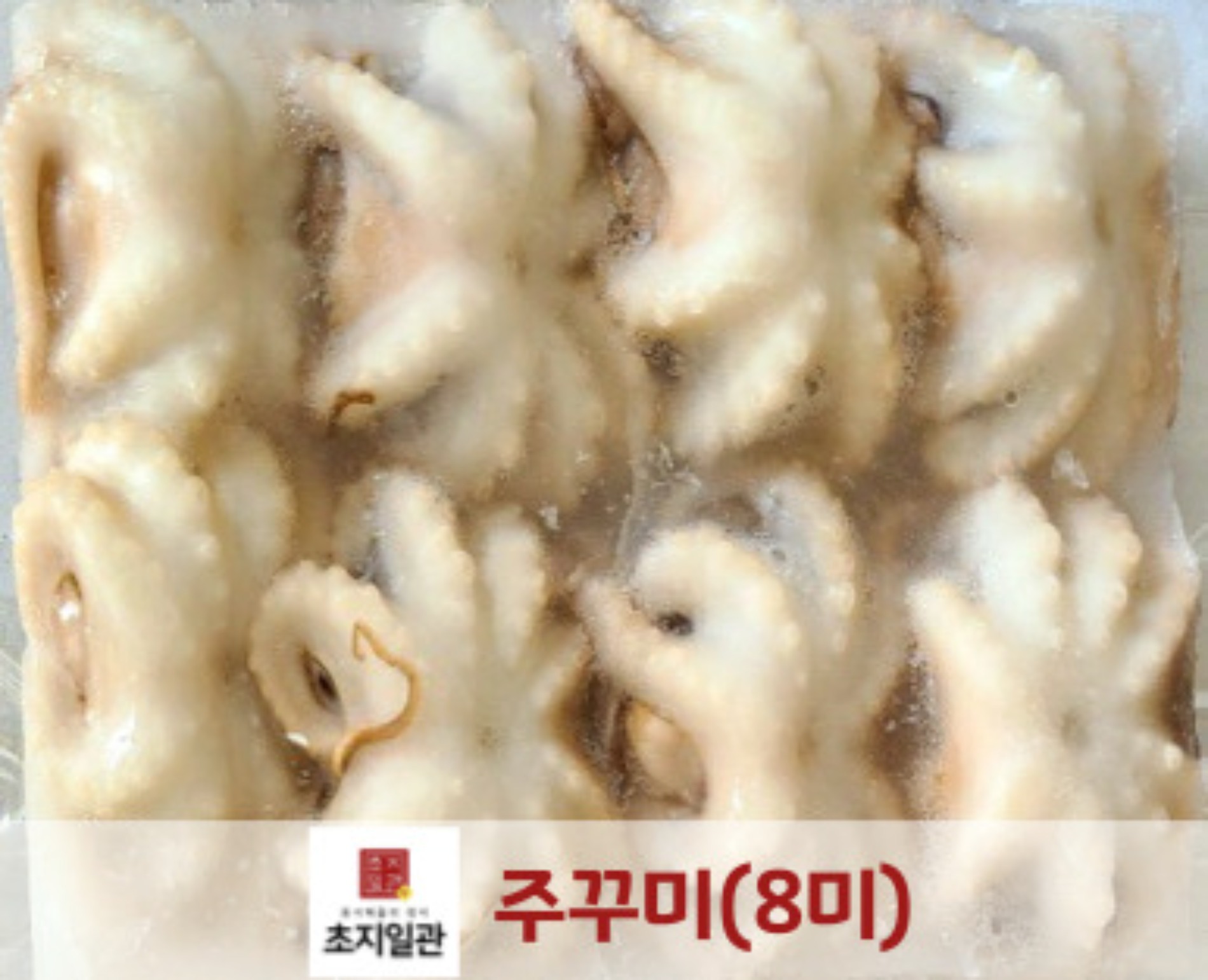 [초심푸드]주꾸미[8미]180g X 12 X 4박스 : 유한회사 초지일관