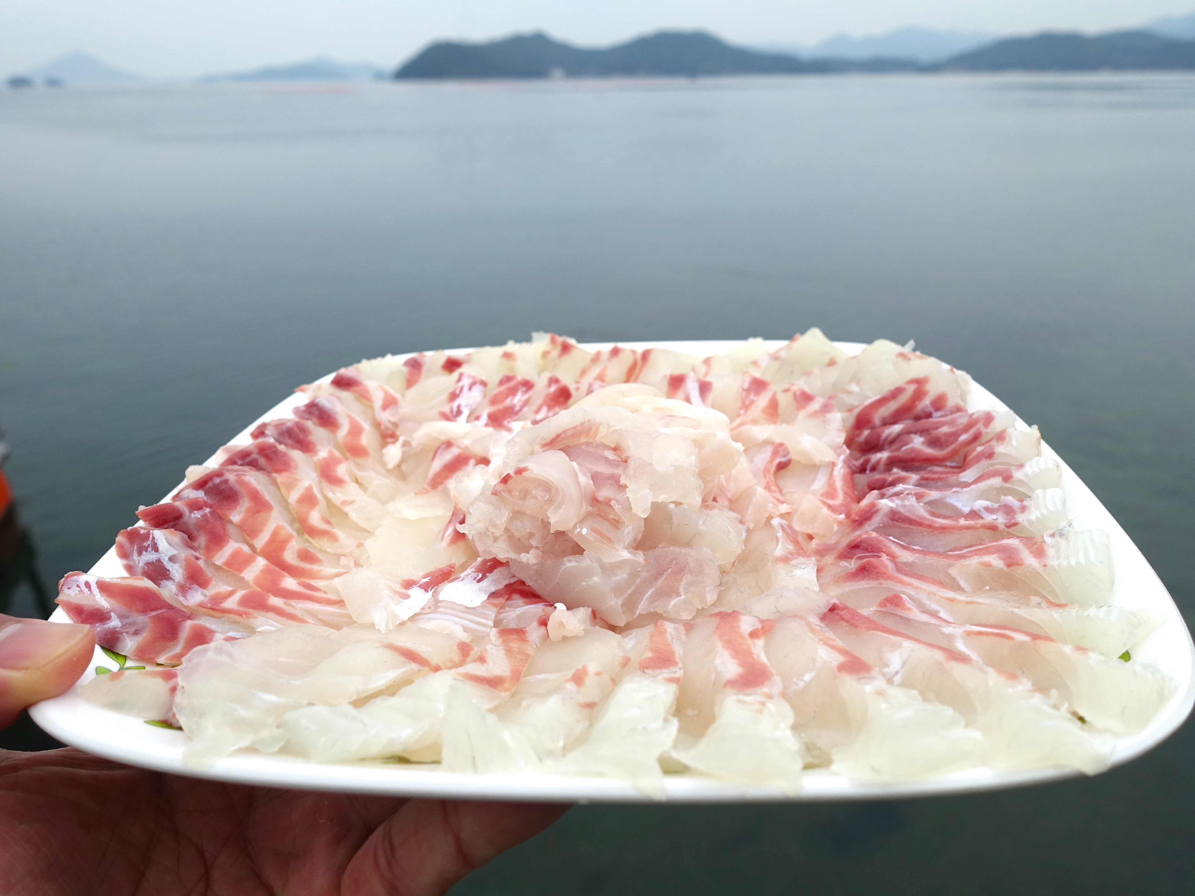 통영 손질 참돔한마리 손질전1kg 손질후400g내외 도미회 참돔회 - 상세 이미지 2