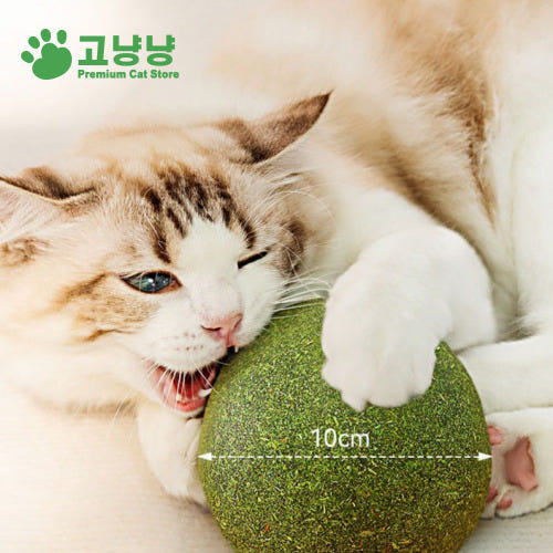 제품 상세 사진 2