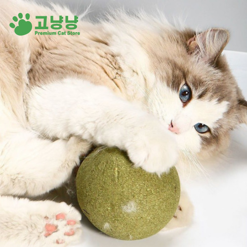 고양이 장난감 캣닢 볼 마따따비 혼자 장남감 왕닢볼 - 상세 이미지 5
