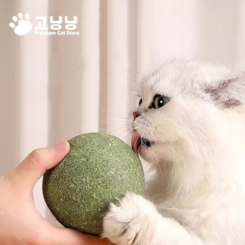 캣닢볼 고양이장난감 혼자노는고양이 고양이용품 고양이놀이
