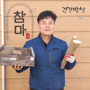 마즙 참마진액 껍질 벗겨 목넘김이 부드러운 안동 참마즙 100ml 30포 맛있게 먹은 솔직 후기 - 상품 이미지 2