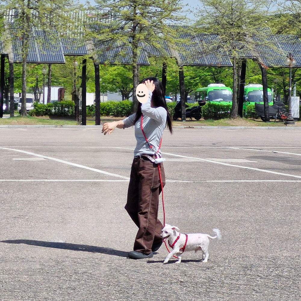 나마스펫 강아지 핸즈프리 리드줄 베이직 로프 빛반사
