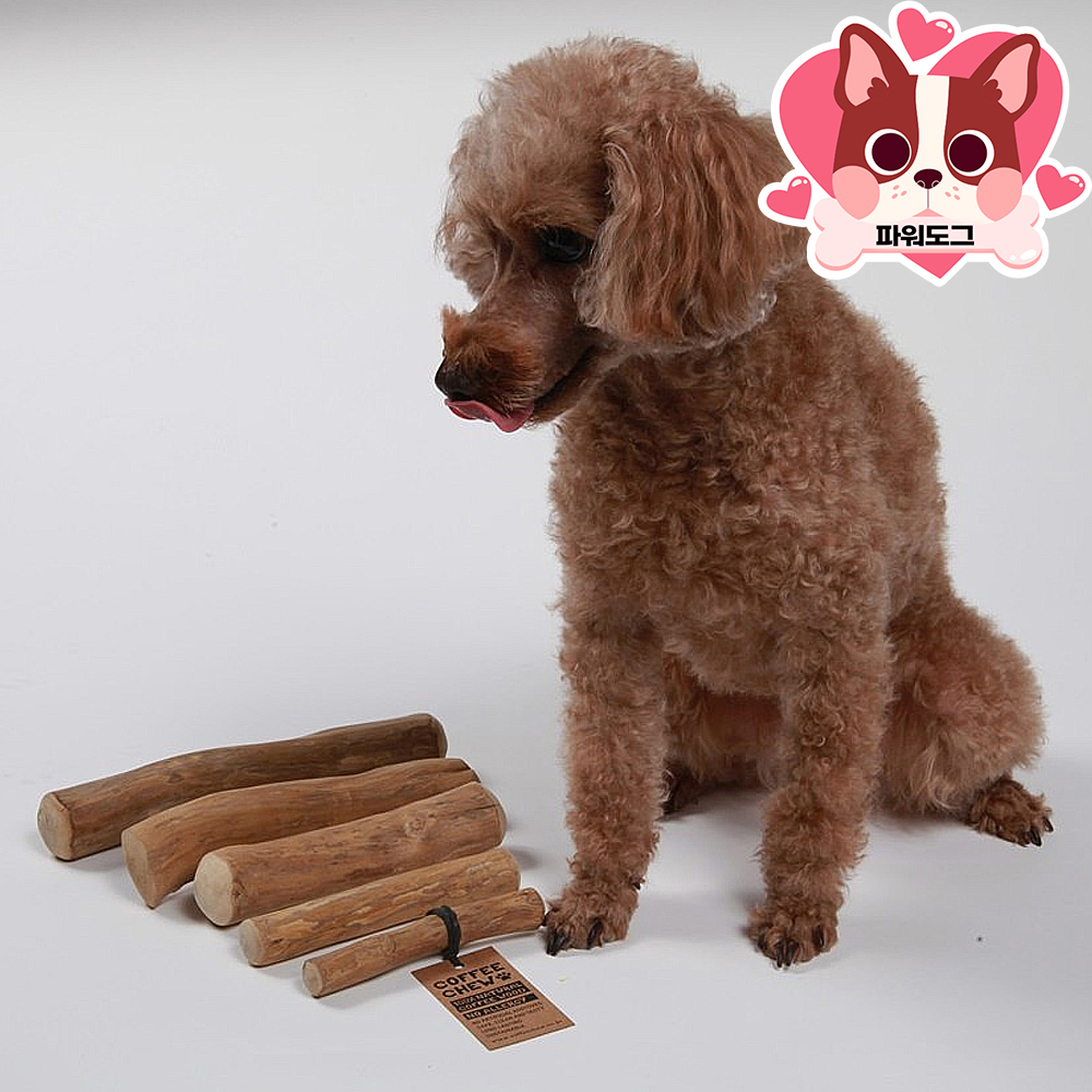 커피츄 XXS 강아지 이갈이 장난감 초소형견 100%커피나무 - 상세 이미지 3