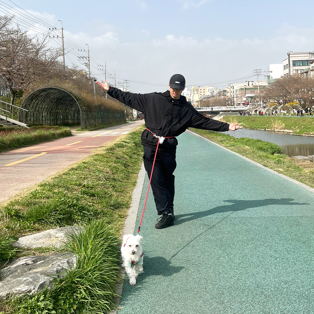 나마스펫 강아지 핸즈프리 리드줄 베이직 로프 빛반사