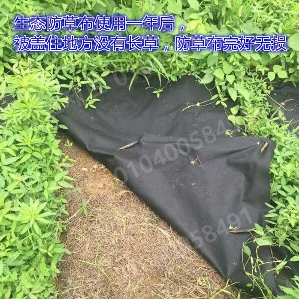농업용 검정비닐 방초포 커버 마늘 제초 매트 산화방지 - 상세 이미지 3