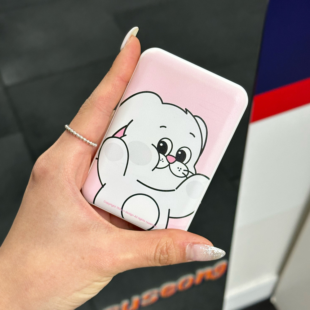 맥세이프 보조배터리 아이폰 무선 충전 볼따구 버니