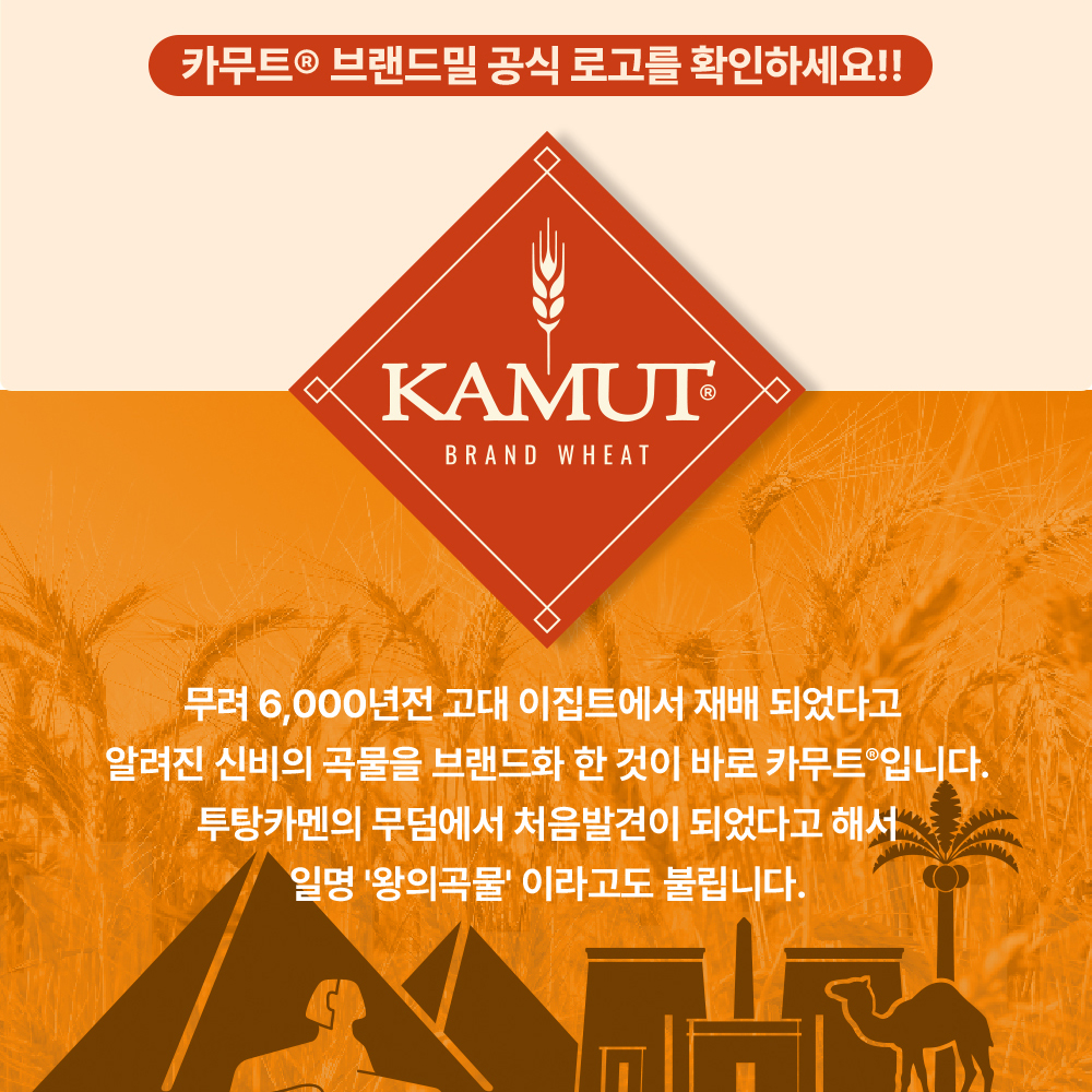 카무트효소 역가수치높은 카뮤트 곡물 발효효소 분말 가루 스틱 30포 x 2박스 이미지 6