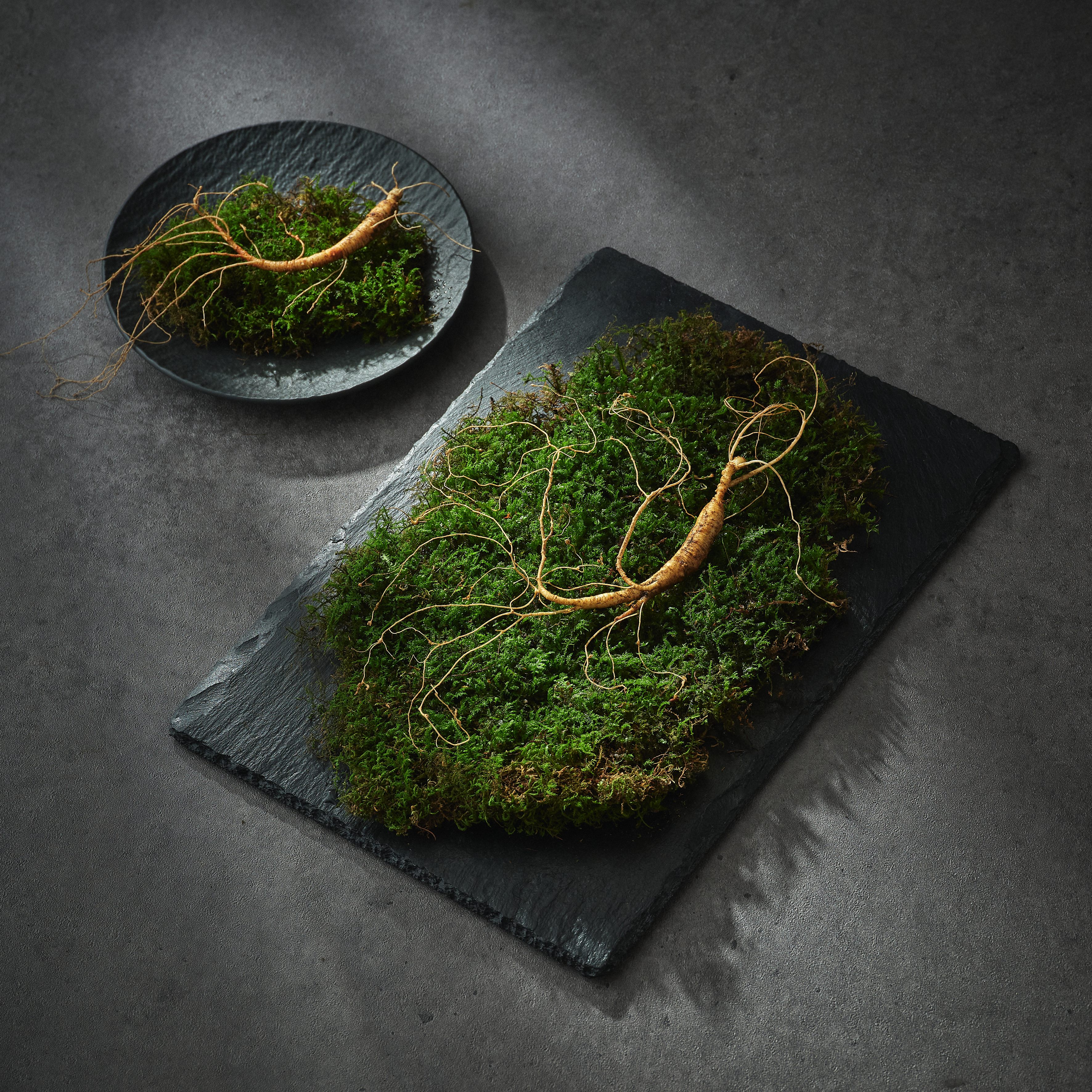 상산재 산양삼 장뇌삼 산양산삼 산삼 5년근 5뿌리 선물세트 - 상세 이미지 3