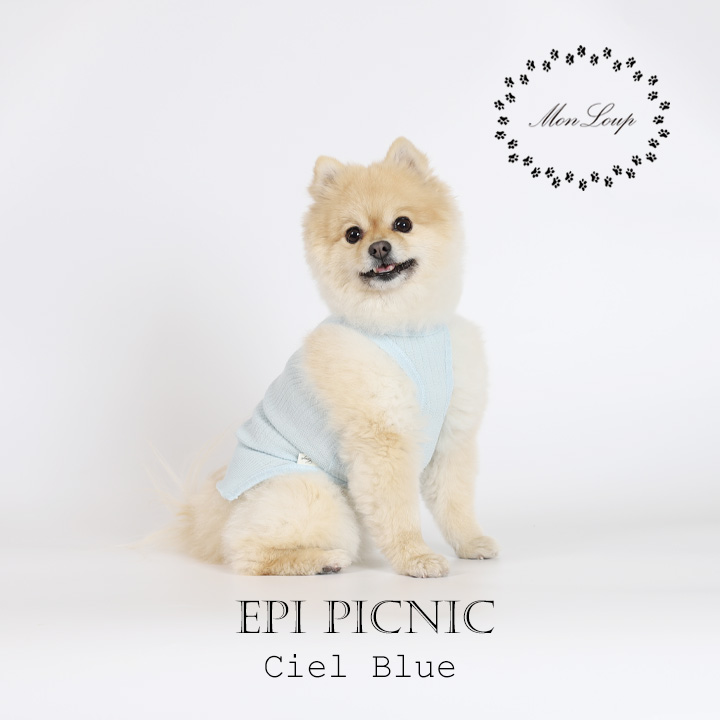 강아지옷 에피 피크닉(EPI PICNIC) - 상세 이미지 4