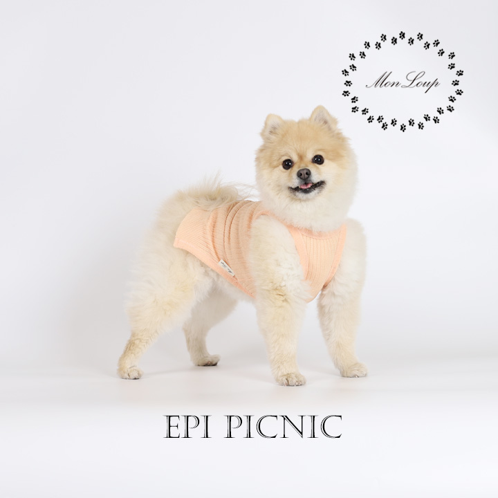 강아지옷 에피 피크닉(EPI PICNIC) - 상세 이미지 5