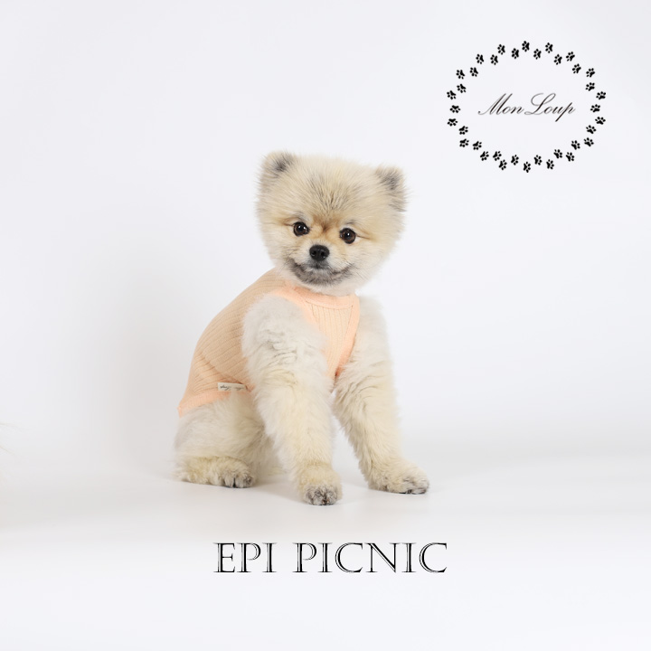 강아지옷 에피 피크닉(EPI PICNIC) - 상세 이미지 3