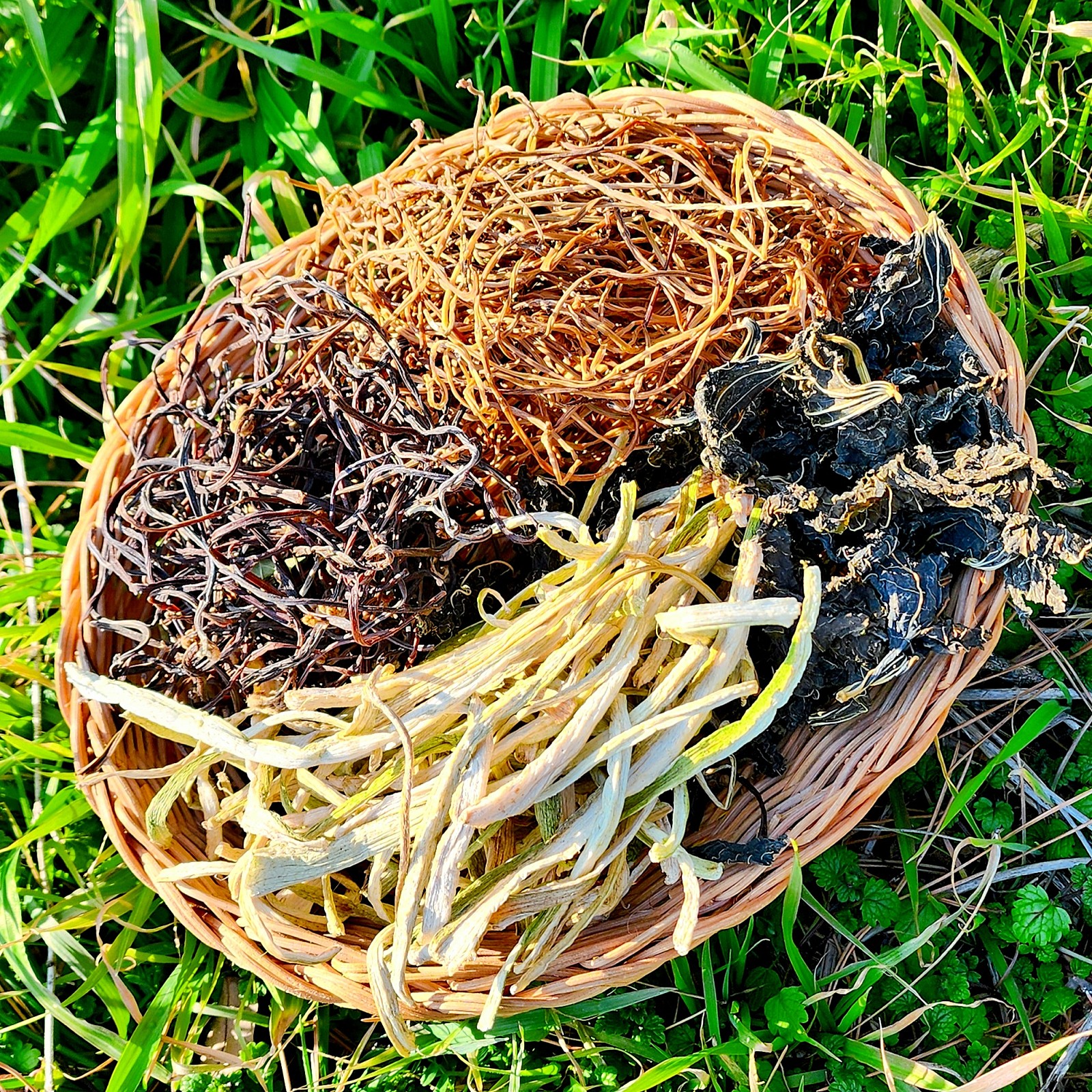 국산 건나물 삶은 묵나물 말린 건고사리 건머위 건토란대 건고구마줄기 건죽순 건취나물 - 상품 이미지