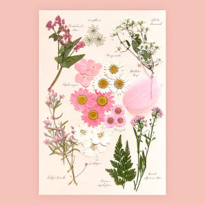 [프레스코21] 압화 꽃 꽃송이 레터링시리즈 오렌지마말레이드 실사용 후기 | 효과 있을까? - 상품 이미지 4