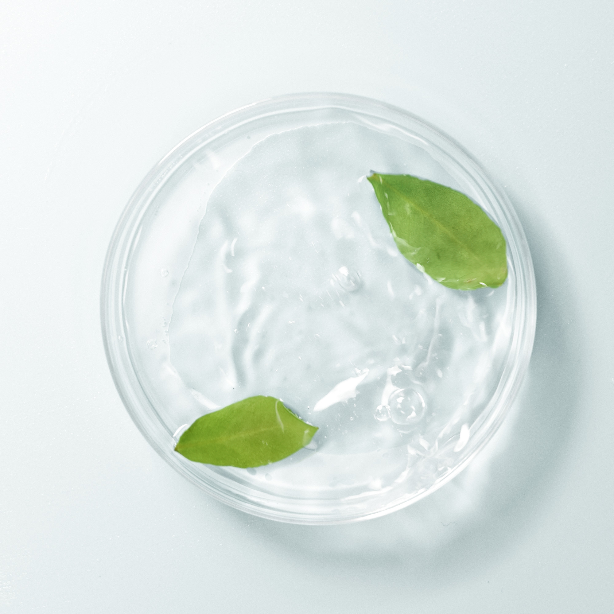 벨모이 포레스트 리프레쉬 토너 500ml 순수 자작나무 수액 천연 케어 - 상세 이미지 3