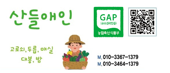 (산들애인) 광양다압  GAP 매실 쪼갠 청매실 2.5kg 5kg-5월31일 이후 순차발송
