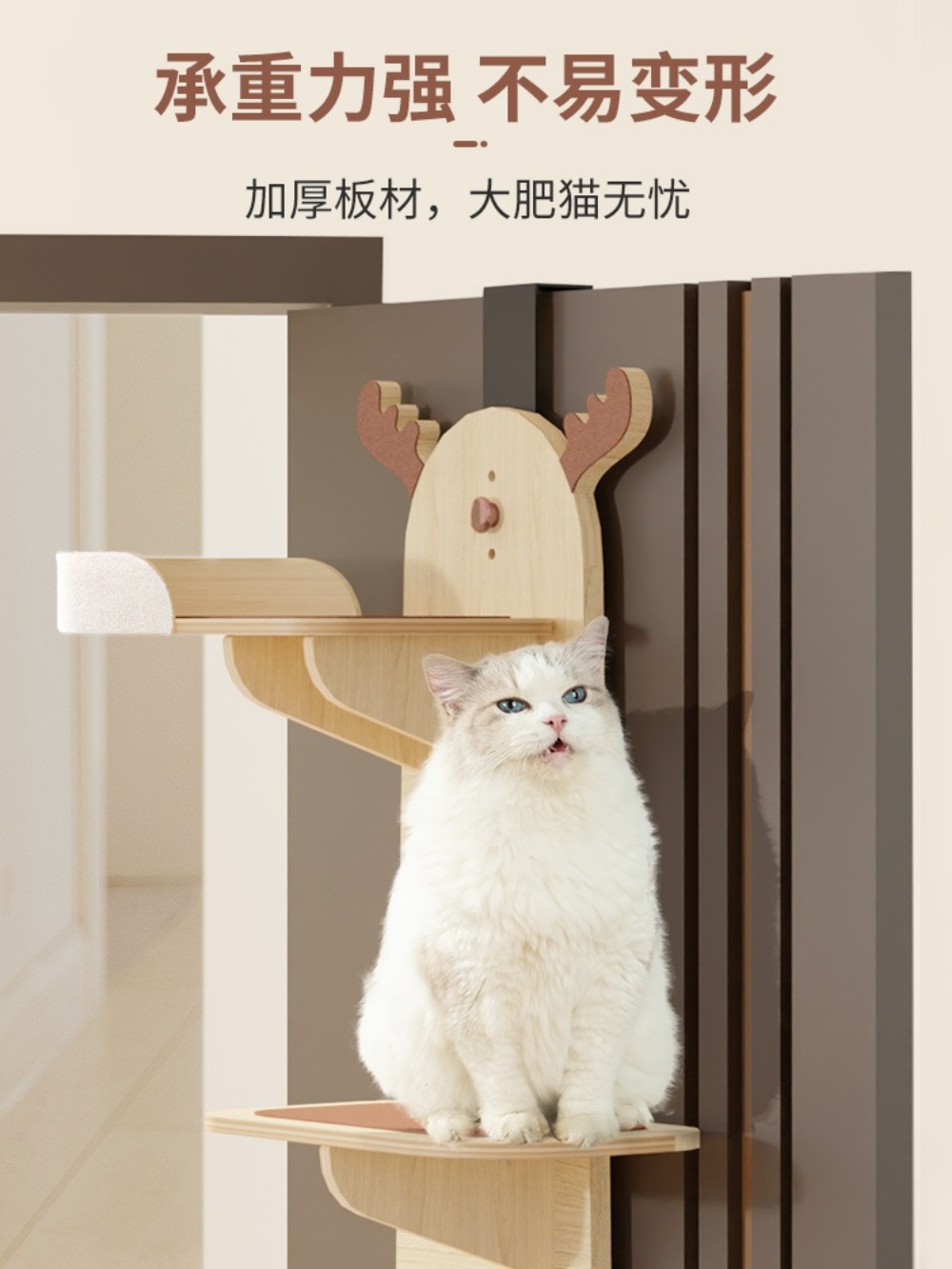 고양이 사다리 발판 벽타기 놀이터 캣워커 벽걸이 구름다리 원목 캣워크 등반 - 상세 이미지 3