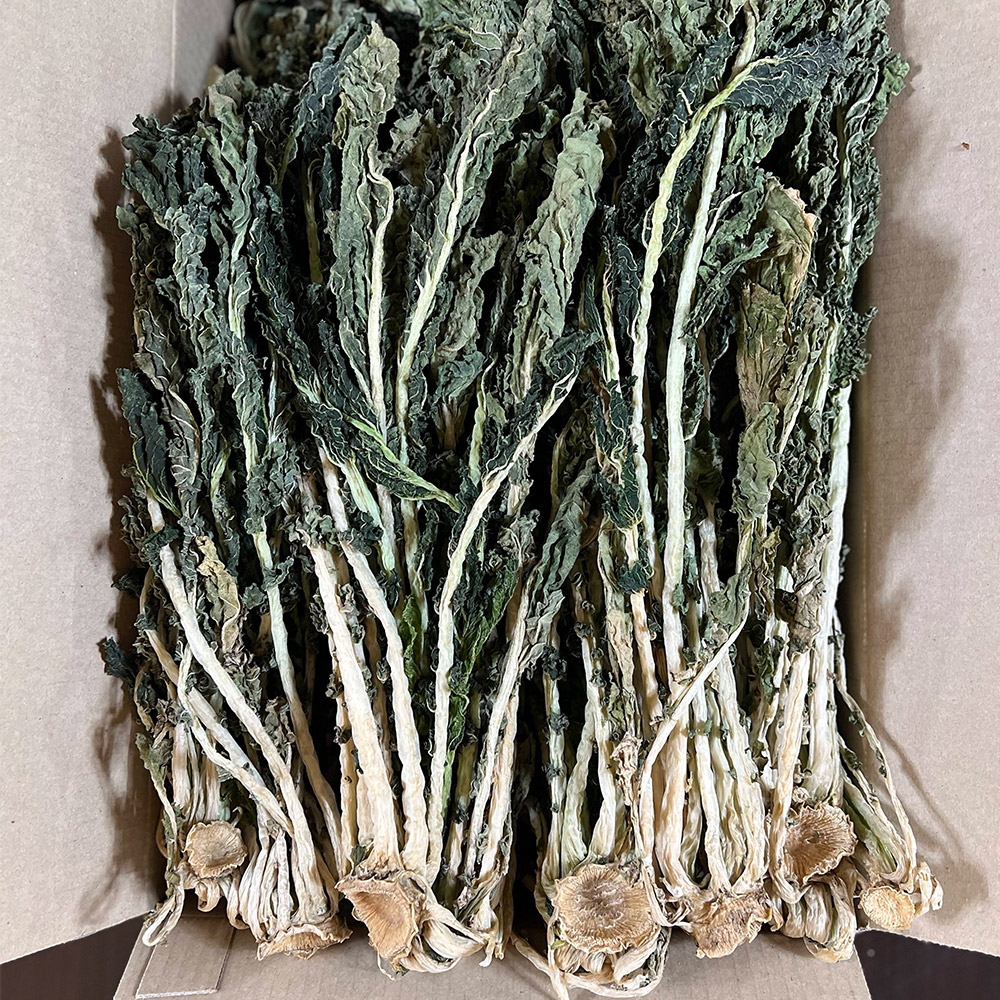 오늘신선 양구 펀치볼 시래기 자연건조 삶은 무청시래기 1kg 이미지 6