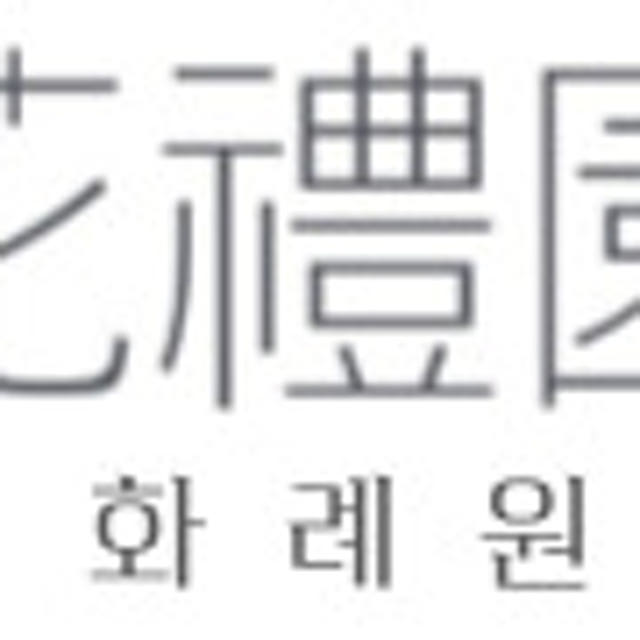 서양란 호접란 개업 승진 축하 난 화분 아마빌리스 오브제 선물 배달