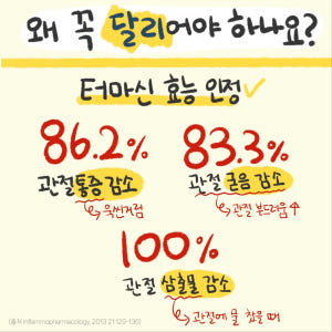 강아지 영양제 관절 터마신 달리 메이드인랩 100개입, 1개 솔직 후기 | 실제 사용자 리뷰 총정리 - 상품 이미지 4