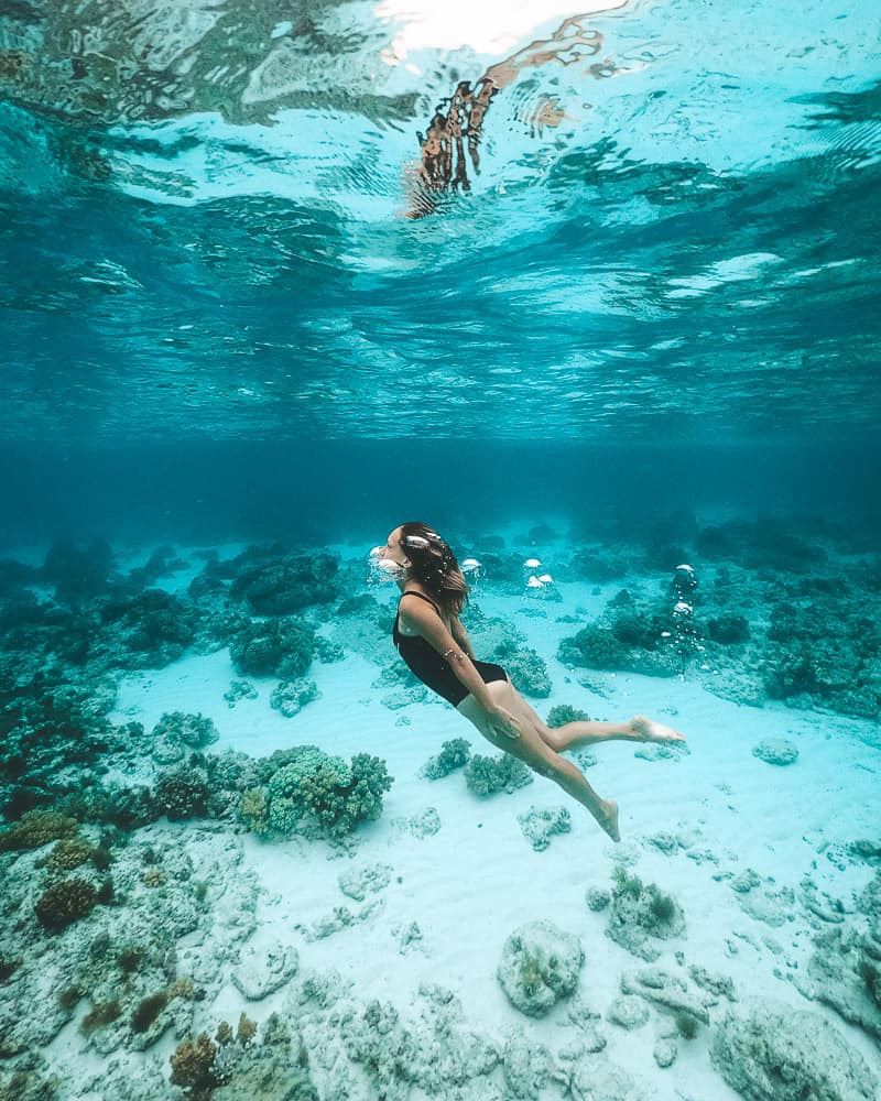 보홀 발리카삭 나팔링 투어 단독 스노쿨링 수중촬영 픽드랍 조식 전담가이드