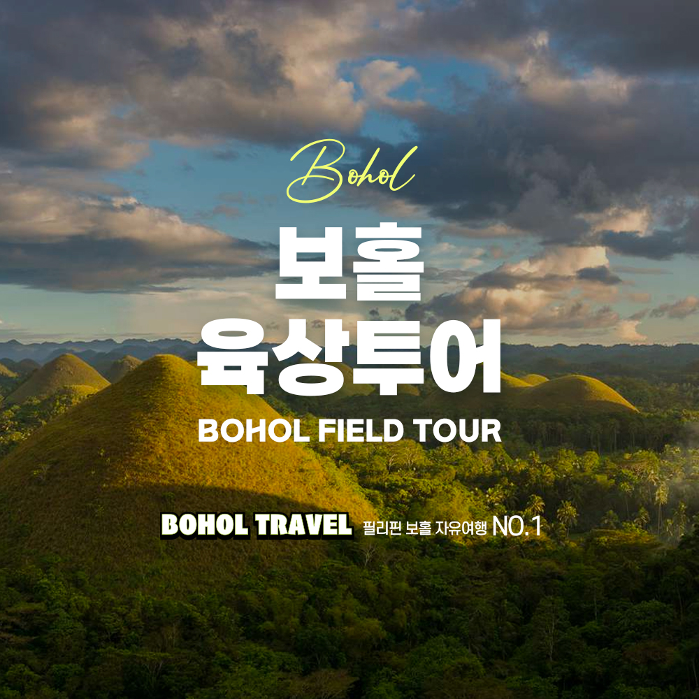 보홀 육상투어 단독차량 초콜릿힐 안경원숭이 로복강