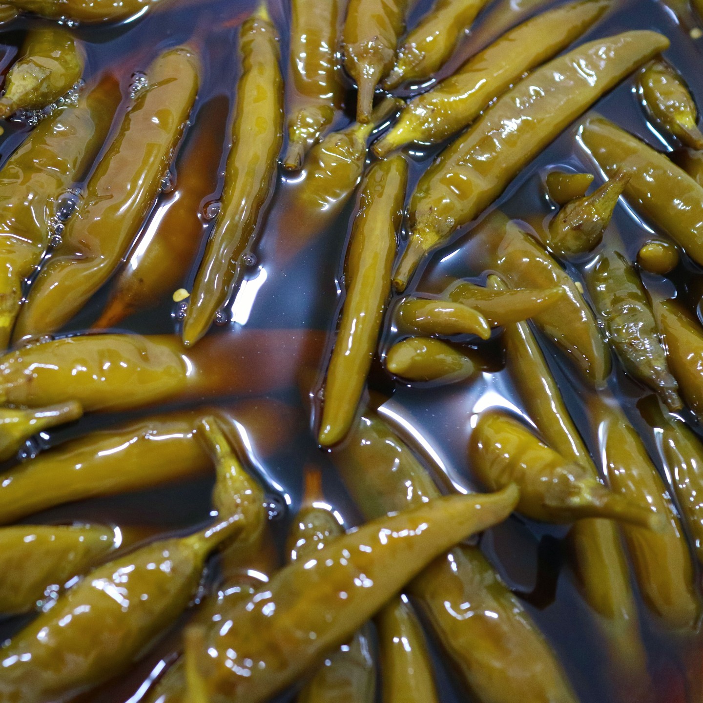 규린이네 청양 고추장아찌 장아찌 청양고추 국내산 업소용 수제 매운 500g - 상세 이미지 5