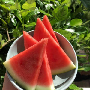 고당도 수박 씨없는 흑수박 줄무늬수박 꿀 하우스 당도선별 맛있게 먹은 솔직 후기 - 상품 이미지 3