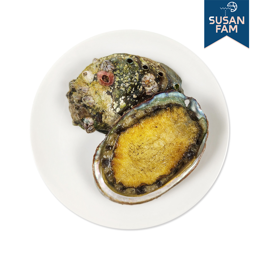 국산 완도 자숙전복 1kg(30미-50미) 피전복 냉동 손질 전복 - 상세 이미지 2