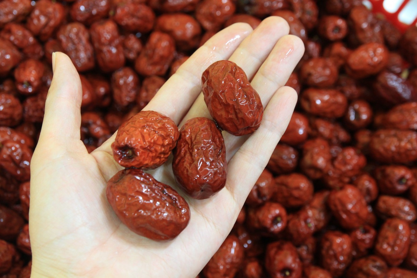 [무설탕] 국산 대추고 대추차 수제청 답례품 카페 선물 세트 300g 대표 이미지