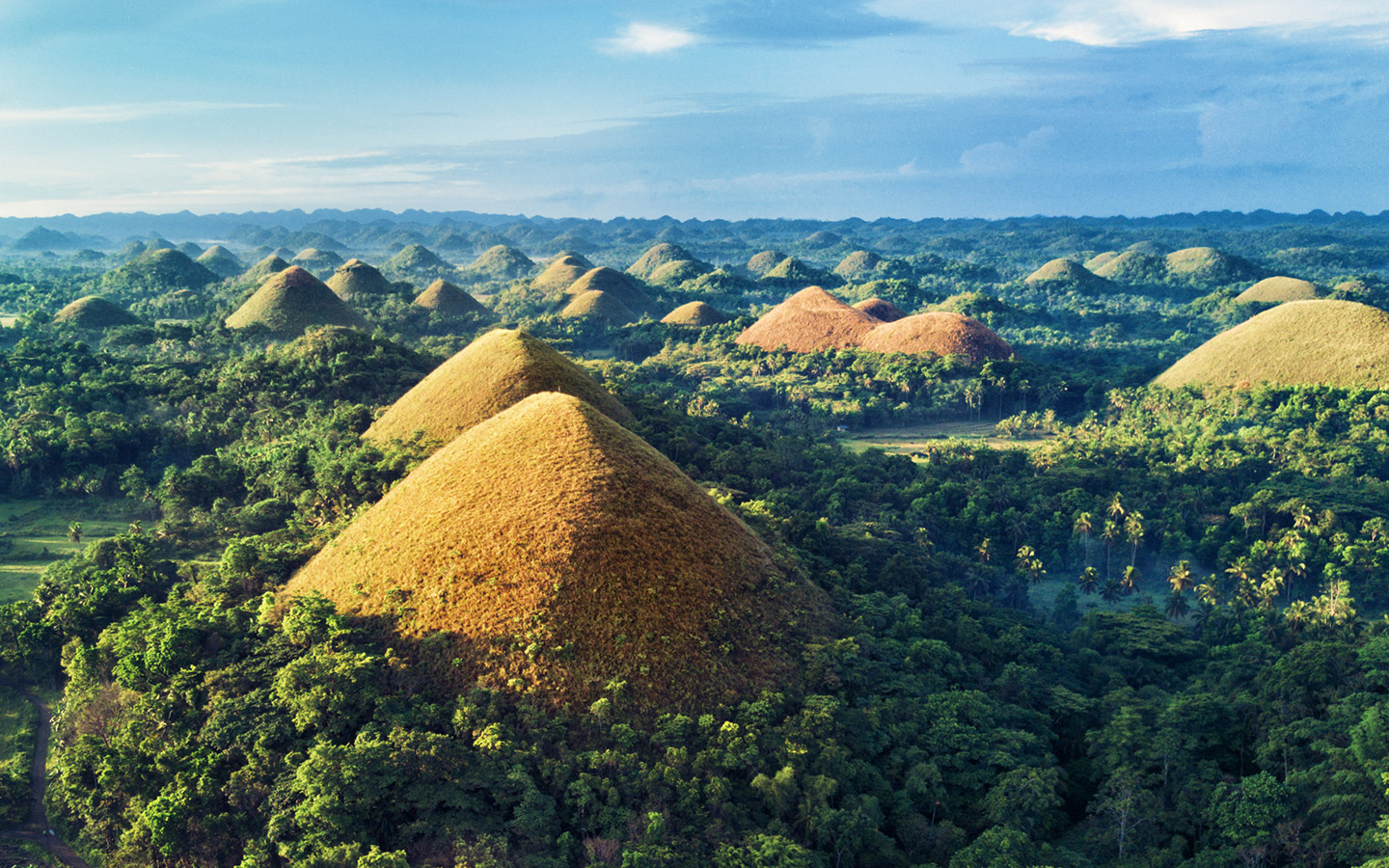 보홀 육상투어 단독차량 초콜릿힐 안경원숭이 로복강