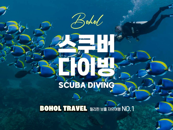 보홀 체험 스쿠버 다이빙 한국인강사 수중촬영) - 메인 이미지